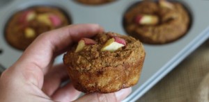 Apple Cinnamon Muffins (nut free)