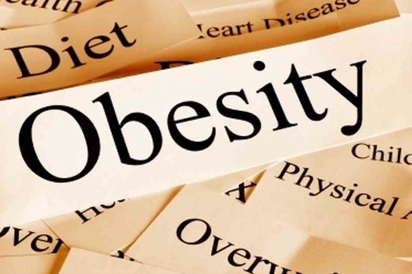 Maintain a Healthy Gut to Reduce the Risk of Obesity