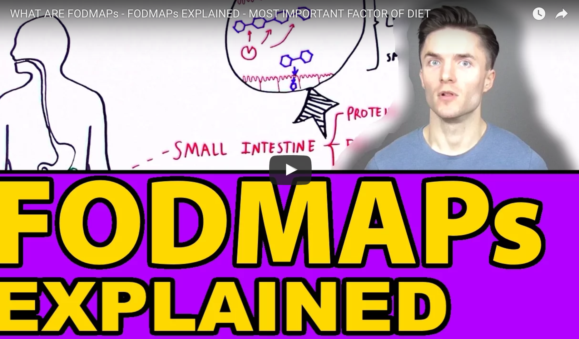 FODMAPs Explained – The Most Important Factor In Our Diet