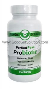 Perfect Pass Probiotic Gut Health